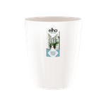 brussels diamond orchidee hoog 12,5cm wit